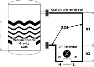 Diaphragm-Seal-DP-Transmitter